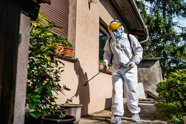 Best Pest Control Near Me  in Newport, RI