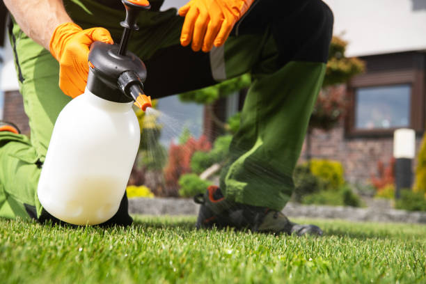 Best Affordable Pest Control Services  in Newport, RI