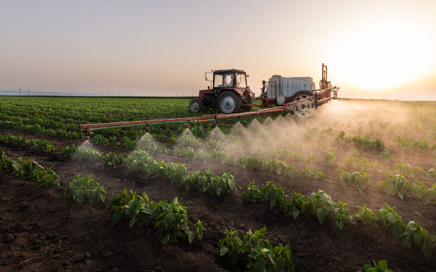 Best Mosquito Control Services  in Newport, RI