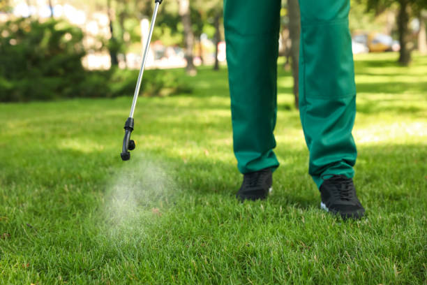 Best Pest Control for Homes  in Newport, RI