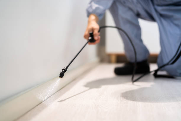 Best Pest Prevention Services  in Newport, RI