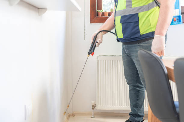 Best Wasp Removal Services  in Newport, RI