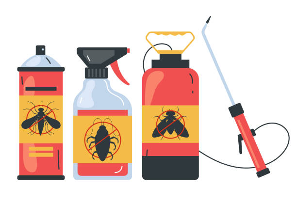 Best Local Pest Control Services  in Newport, RI