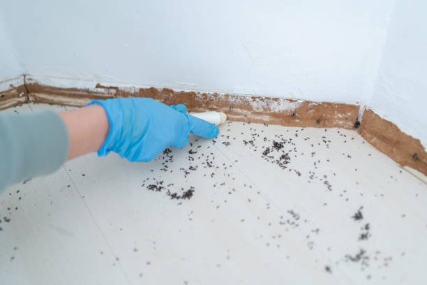 Best Pest Prevention Services  in Newport, RI